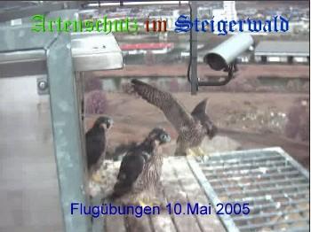 Copyright AiS / Wörner Bild zum Eintrag (27307-160)