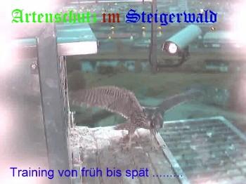Copyright AiS / Wörner Bild zum Eintrag (27309-160)