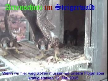 Copyright AiS / Wörner Bild zum Eintrag (27311-160)