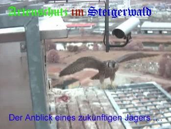 Copyright AiS / Wörner Bild zum Eintrag (27317-160)