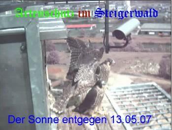 Copyright AiS / Wörner Bild zum Eintrag (27318-160)