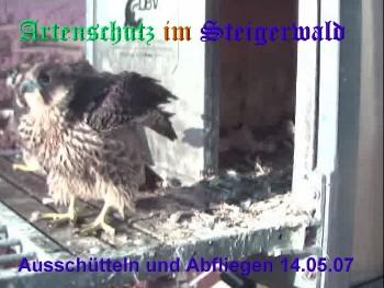 Copyright AiS / Wörner Bild zum Eintrag (27319-160)