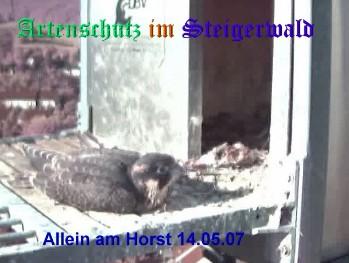 Copyright AiS / Wörner Bild zum Eintrag (27320-160)