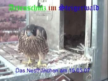 Copyright AiS / Wörner Bild zum Eintrag (27325-160)