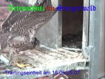 Copyright AiS / Wörner Bild zum Eintrag (27326-160)
