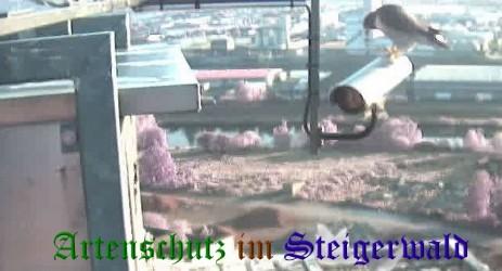 Copyright AiS / Wörner Bild zum Eintrag (27334-160)