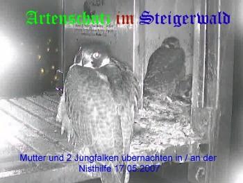 Copyright AiS / Wörner Bild zum Eintrag (27335-160)