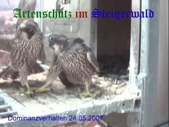 Copyright AiS / Wörner Bild zum Eintrag (27337-160)