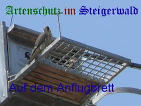 Copyright AiS / Wörner Bild zum Eintrag (27339-160)