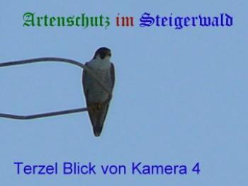 Copyright AiS / Wörner Bild zum Eintrag (27340-160)