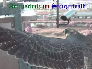 Copyright AiS / Wörner Bild zum Eintrag (27346-160)