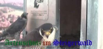 Copyright AiS / Wörner Bild zum Eintrag (27347-160)