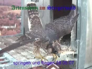 Copyright AiS / Wörner Bild zum Eintrag (27348-160)