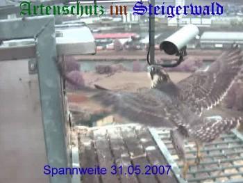 Copyright AiS / Wörner Bild zum Eintrag (27350-160)