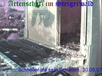 Copyright AiS / Wörner Bild zum Eintrag (27353-160)
