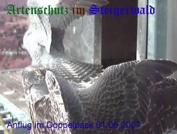 Copyright AiS / Wörner Bild zum Eintrag (27357-160)