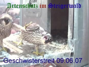 Copyright AiS / Wörner Bild zum Eintrag (27358-160)