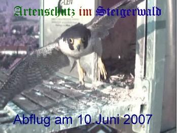 Copyright AiS / Wörner Bild zum Eintrag (27359-160)
