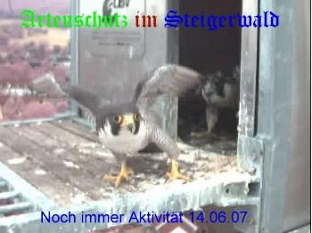 Copyright AiS / Wörner Bild zum Eintrag (27363-160)