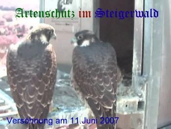 Copyright AiS / Wörner Bild zum Eintrag (27364-160)
