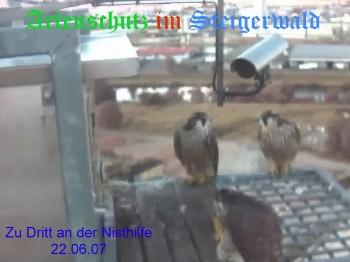 Copyright AiS / Wörner Bild zum Eintrag (27365-160)