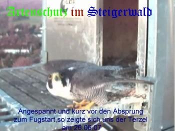 Copyright AiS / Wörner Bild zum Eintrag (27374-160)