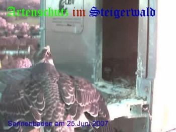 Copyright AiS / Wörner Bild zum Eintrag (27375-160)