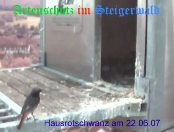 Copyright AiS / Wörner Bild zum Eintrag (27376-160)