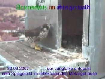 Copyright AiS / Wörner Bild zum Eintrag (27378-160)