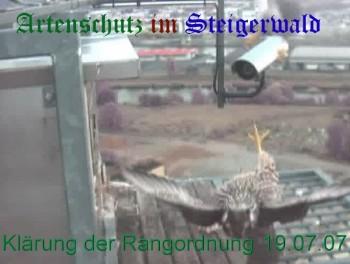 Copyright AiS / Wörner Bild zum Eintrag (27402-160)