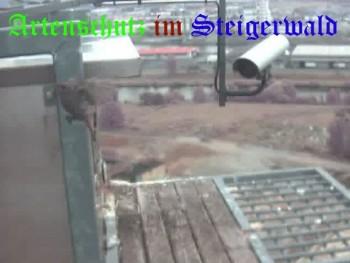 Copyright AiS / Wörner Bild zum Eintrag (27404-160)