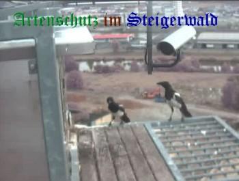 Copyright AiS / Wörner Bild zum Eintrag (27406-160)