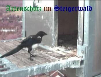 Copyright AiS / Wörner Bild zum Eintrag (27408-160)