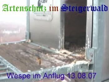 Copyright AiS / Wörner Bild zum Eintrag (27415-160)