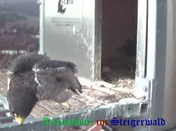 Copyright AiS / Wörner Bild zum Eintrag (27417-160)