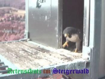 Copyright AiS / Wörner Bild zum Eintrag (27418-160)