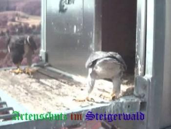 Copyright AiS / Wörner Bild zum Eintrag (27419-160)