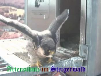 Copyright AiS / Wörner Bild zum Eintrag (27420-160)