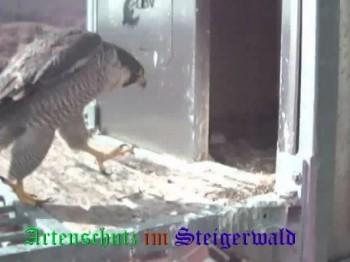 Copyright AiS / Wörner Bild zum Eintrag (27421-160)