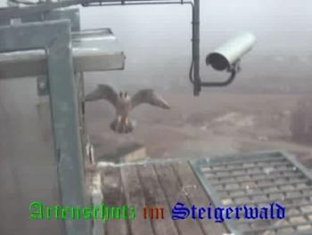 Copyright AiS / Wörner Bild zum Eintrag (27423-160)