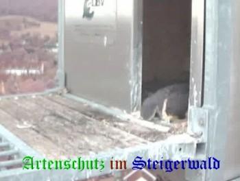 Copyright AiS / Wörner Bild zum Eintrag (27424-160)