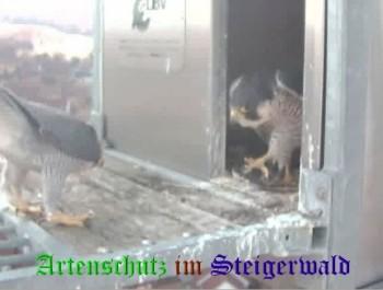 Copyright AiS / Wörner Bild zum Eintrag (27427-160)