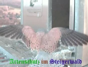 Copyright AiS / Wörner Bild zum Eintrag (27431-160)