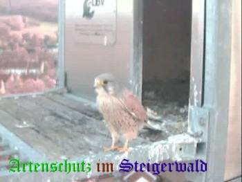 Copyright AiS / Wörner Bild zum Eintrag (27432-160)