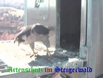 Copyright AiS / Wörner Bild zum Eintrag (27437-160)