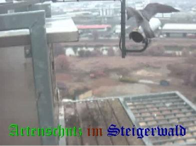 Copyright AiS / Wörner Bild zum Eintrag (27438-160)