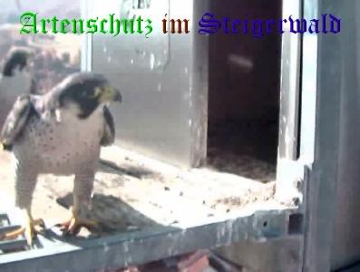 Copyright AiS / Wörner Bild zum Eintrag (27440-160)