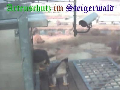 Copyright AiS / Wörner Bild zum Eintrag (27441-160)