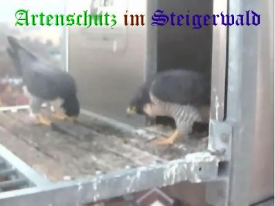 Copyright AiS / Wörner Bild zum Eintrag (27442-160)
