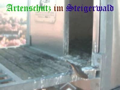 Copyright AiS / Wörner Bild zum Eintrag (27443-160)